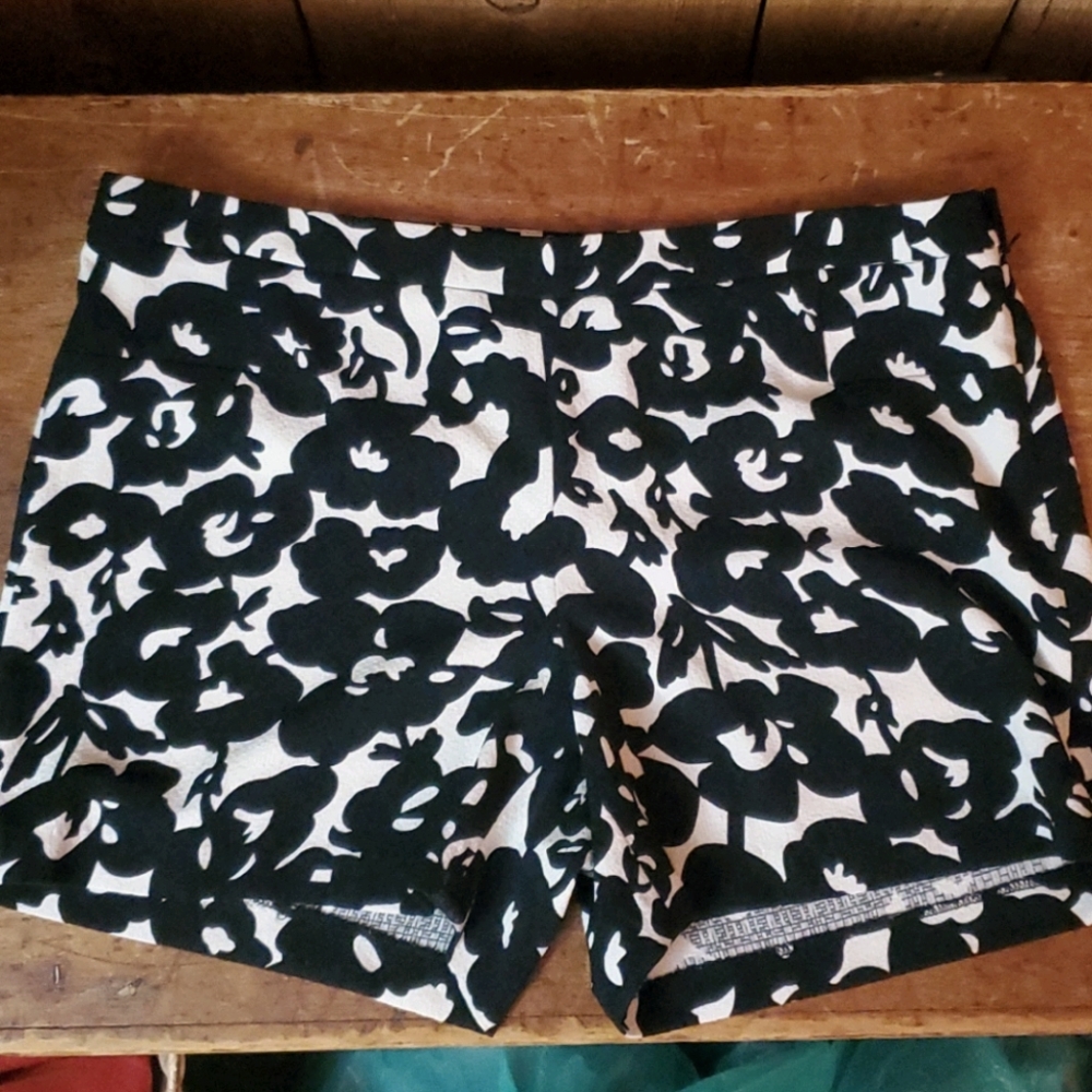 Katherine Barclay Shorts, size 10, Never Worn!